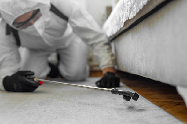 Professional Bed Bug Control technician working in Pleasantville, NJ