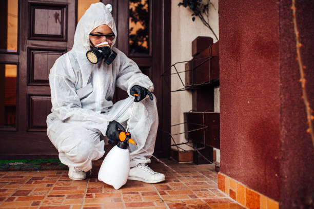 Reliable Bed Bug Control contractor in Pleasantville, NJ by Nex Pest Control